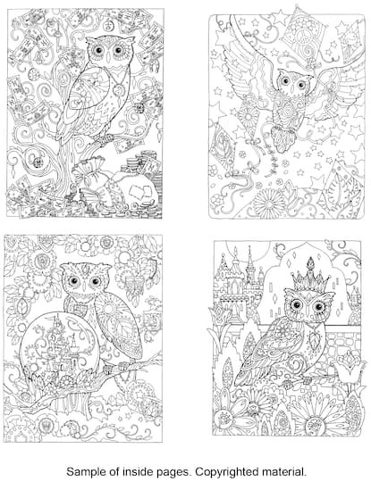 Creative Haven Owls Coloring Book